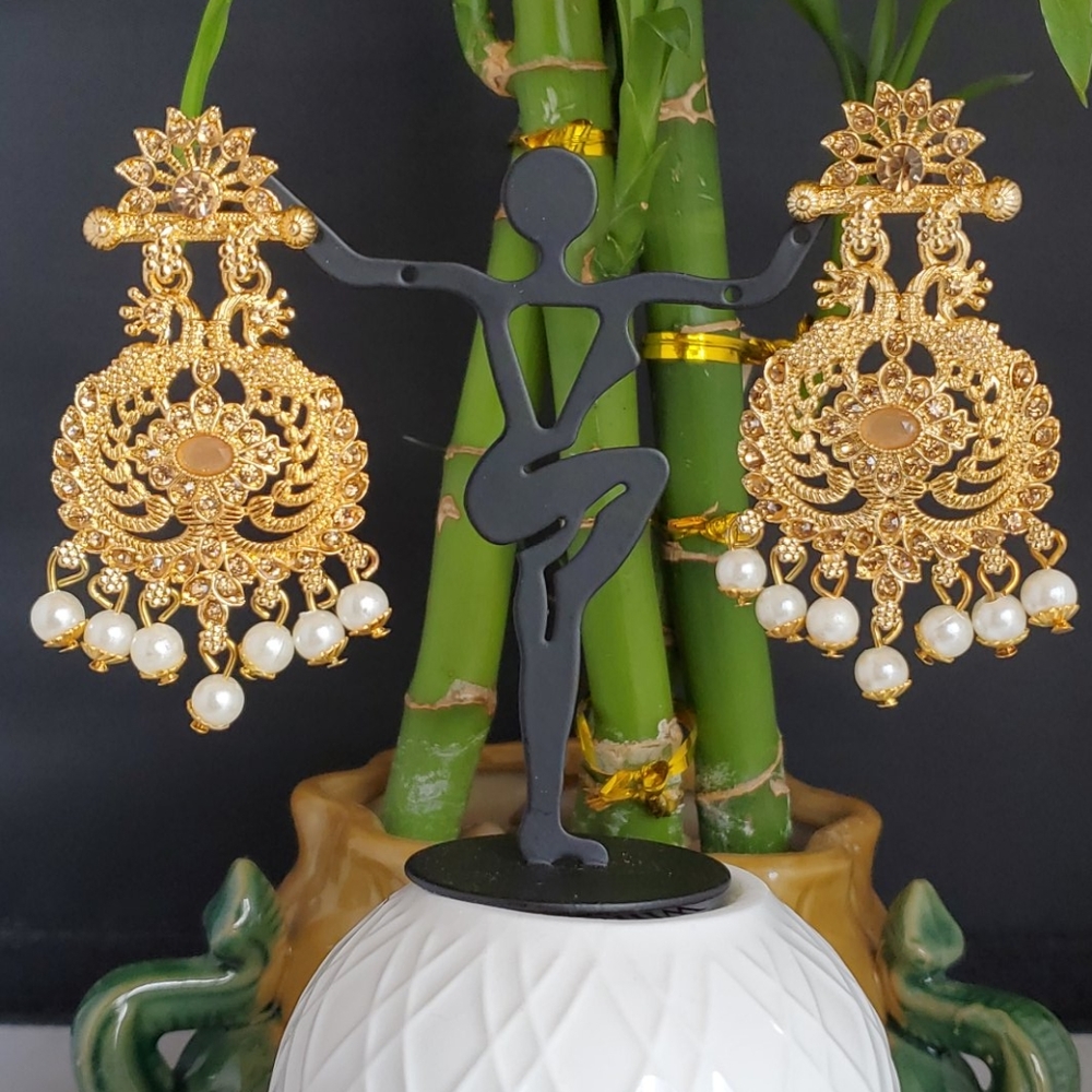 Fancy Earring